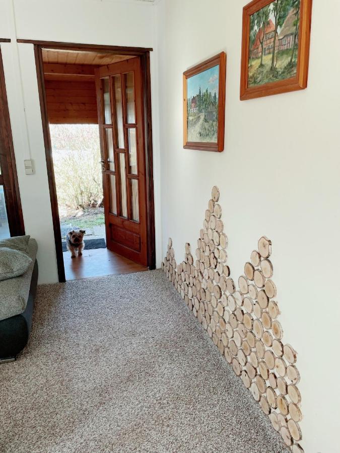 Landhaus Mit Pool, Bungalow In Der Natur Hohenbollentin Bagian luar foto