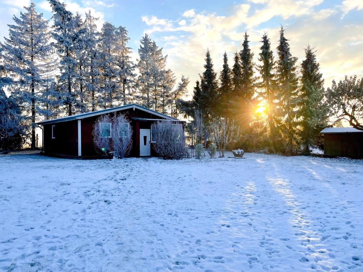 Landhaus Mit Pool, Bungalow In Der Natur Hohenbollentin Bagian luar foto