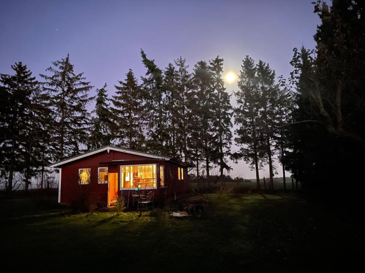 Landhaus Mit Pool, Bungalow In Der Natur Hohenbollentin Bagian luar foto
